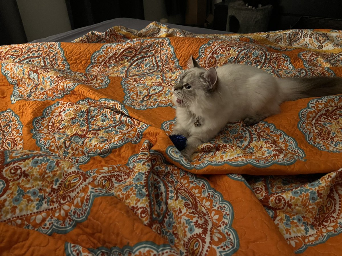 <a href="/relicofthepast/">Relic of the Past Podcast</a> <a href="/PenanceRPG/">Penance RPG 🐉 🏳️‍🌈 🐀</a> <a href="/WebWitch81000/">👾 Nearly Blind Nut is Back?! 😹</a> <a href="/StackODice/">Stack 🌻 Dice</a> <a href="/AnitaBridges2/">Anita Bridges</a> <a href="/xb0shi3x/">Brandalf the Blonde</a> <a href="/tykashow/">🐋</a> <a href="/DeGustafson/">Derek Gustafson (he/him) is Catface Games</a> <a href="/ttjourneys/">The Tabletop Journeys Podcast</a> <a href="/pwp_dnd/">🪄Power Word: Play🔥</a> <a href="/adora_belleD/">🇬🇧🇳🇿</a> <a href="/Stories_bySarah/">Sarah Danielle</a> <a href="/NSFWActualPlay/">Not Safe For Wizards</a> @DangerDames @TheDice_Casters <a href="/brainytherpgcat/">Brainy The RPG Cat</a> She plays fetch and yells till you throw the ball again…sometimes randomly while I’m trying to sleep at 2am lol