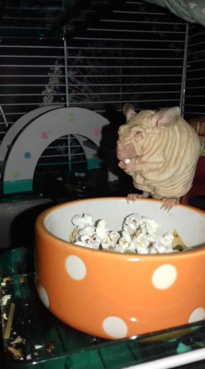 A visual representation of me right this very second.