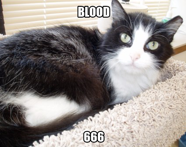 cat_grips's tweet image. 