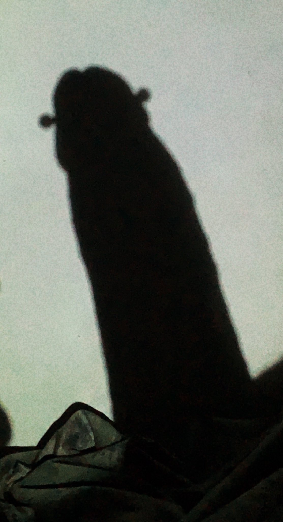 Las sombras chinas que le llaman 🙊 https://t.co/KgXYQ6YANo