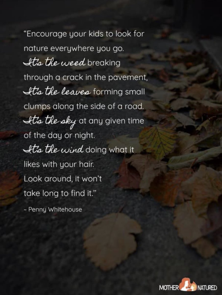 When we show them the way, children will see a world we may have passed by. Lead children to experience nature! #lethbridgeplays #hs4 #ece #nature