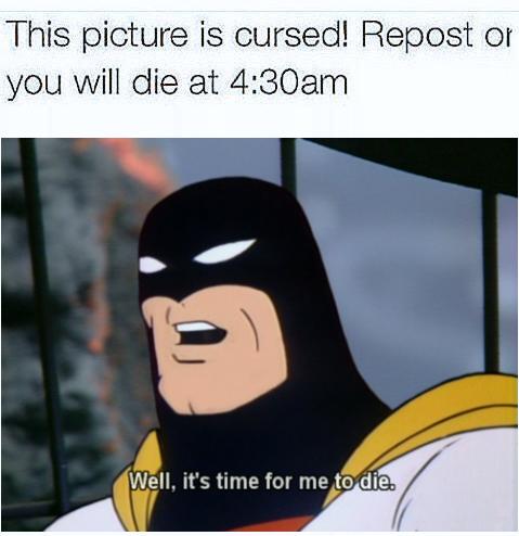 ShitpostBot 5000 (@shitpostbot5000) on Twitter photo 