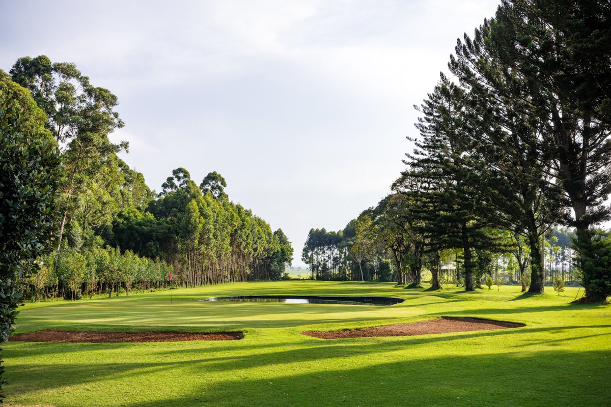 KECOSOGames's tweet photo. Itβs beautiful day here in Kericho and D-Day for the #KECOSO2022 golf β³οΈ tournament. This curtain-raiser event of the main #KECOSO games has drawn more than 100 golfers from 14 #KECOSO member organizations plusΒ the greater Western Region. https://t.co/U4UBWD5bD6