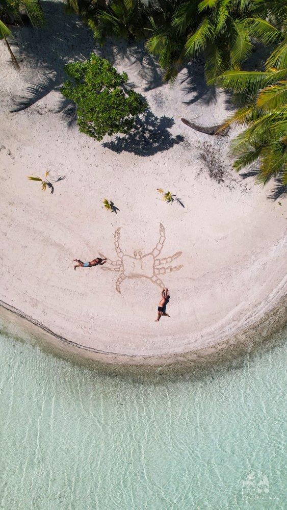 geektouristique's tweet photo. On est allés se promener au lagon bleu de Rangiroa et... 💙😱
Viens voir les autres photos et notre article ici 👉 https://t.co/wYISFzd6bN
#rangiroa #blog #voyage #tahititourisme @TahitiTourisme @AirTahitiNuiFR https://t.co/F2BfE7F0FQ