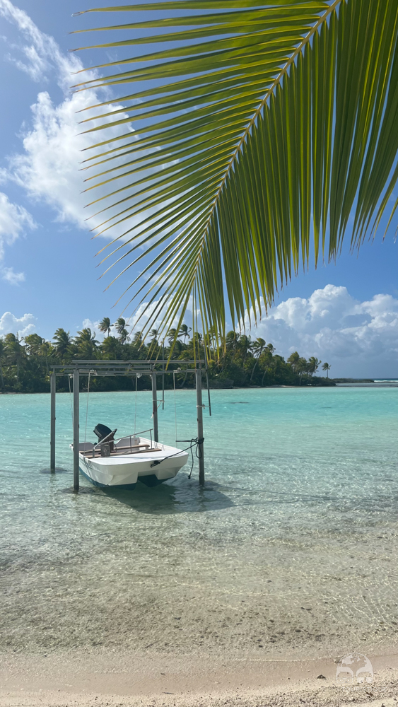 geektouristique's tweet photo. On est allés se promener au lagon bleu de Rangiroa et... 💙😱
Viens voir les autres photos et notre article ici 👉 https://t.co/wYISFzd6bN
#rangiroa #blog #voyage #tahititourisme @TahitiTourisme @AirTahitiNuiFR https://t.co/F2BfE7F0FQ