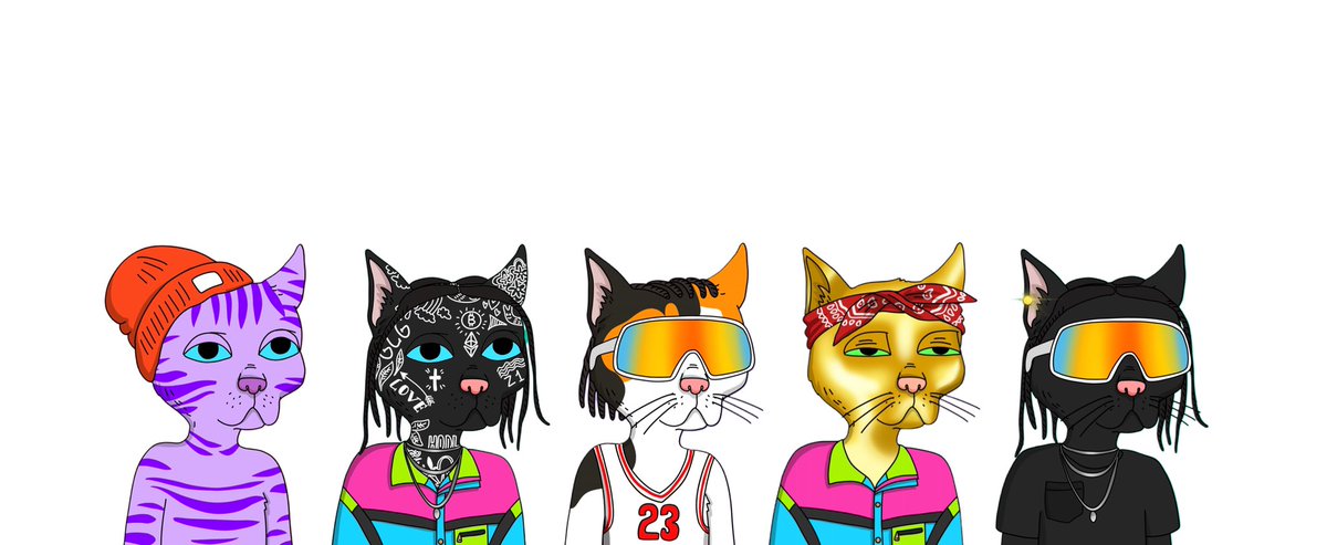 Starting 5 <a href="/GutterCatGang/">Gutter Cat Gang</a> #GangGang 💨 💨 💨