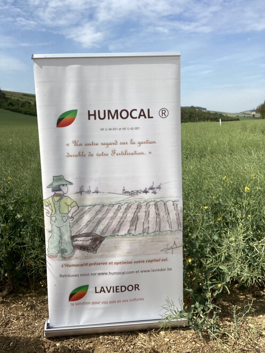 BONNIN1402's tweet photo. @agritof60 @FopProducteurs @rousseautrocy @AGPB_Cerealiers @FNSEA @JohnDeere @AcademieAgri @valfrancecoop @MaximeBuffalo @GuyotVincent02 @BruCardot @benj_thi @RemDumDum @DesmetHugues @laurent_vittoz @ChambagriFrance @Metiersdugrain @lacoopagricole @OlivierCOSTE2 @toto_bricolo @Oleo100_FR @terresinovia La 1ère étape aura été de décider de la sole de colza au travers d'échanges en #TourdePlaine et #VisitedEssai avec le #DocColza.
1ers choix de fertilisation #frigo et réflexion autour de la gestion agronomique et chimique de la #GrosseAltise
2/3 https://t.co/49XTOULPFQ