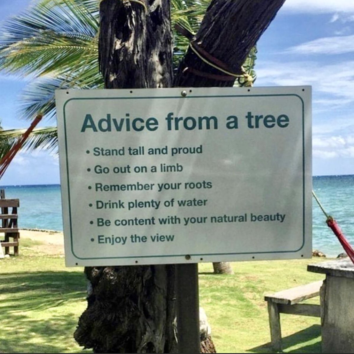 Steve Hill (@hillbilly8888) on Twitter photo 