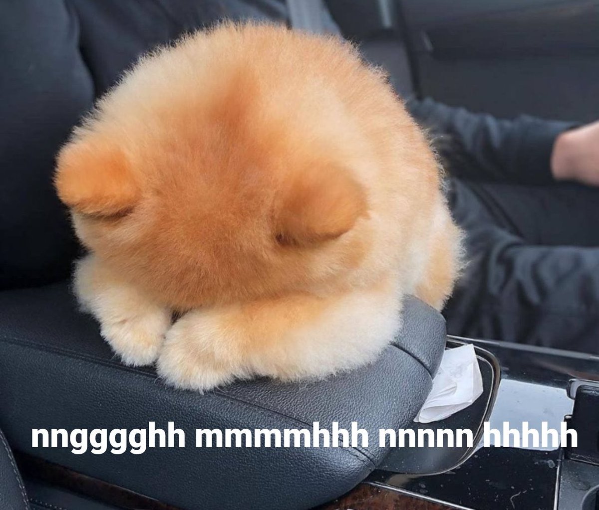 CHANGMIN. tweet media