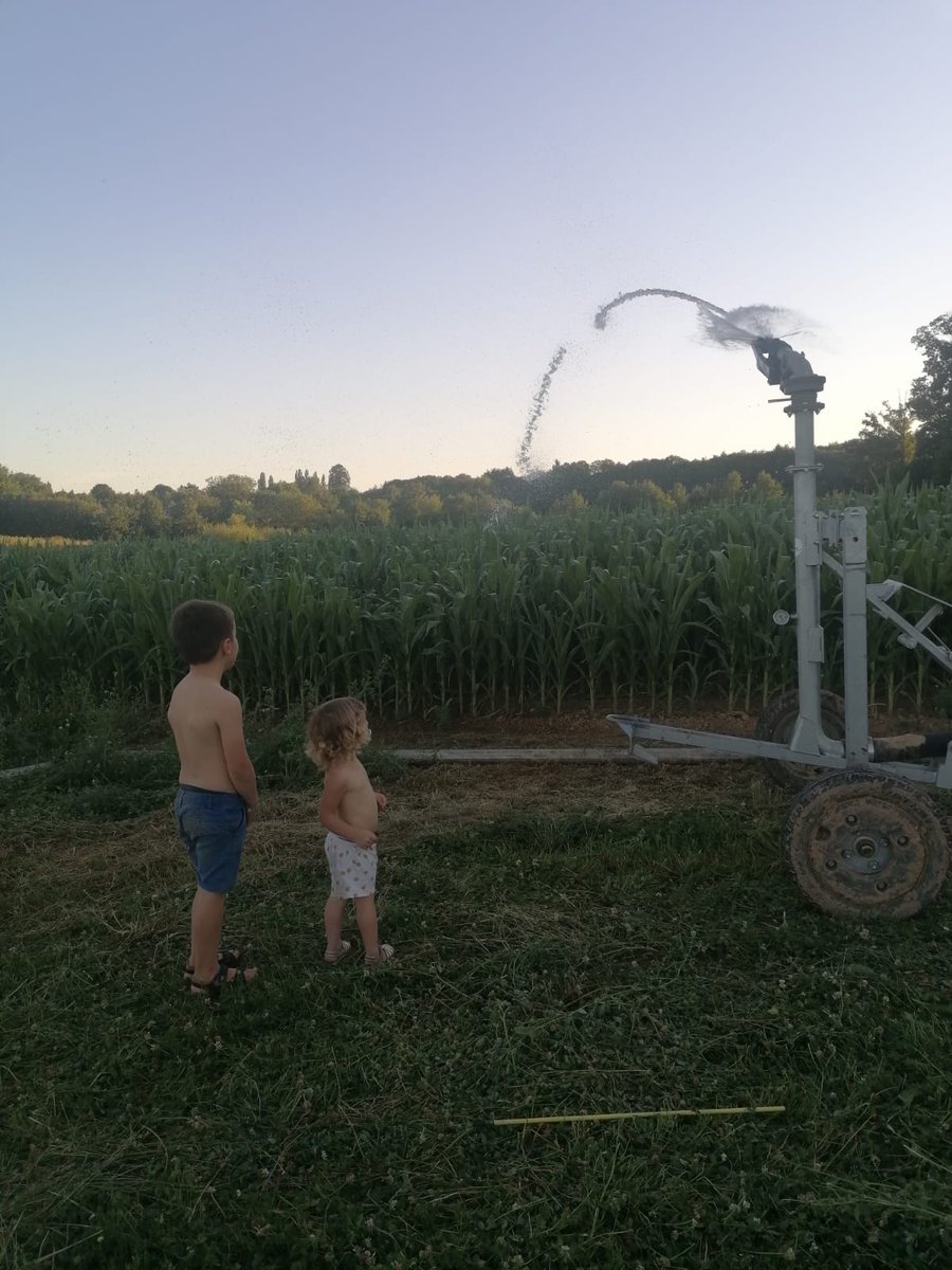 Le meilleur moment des enfants, quand l'eau commence à sortir du canon!