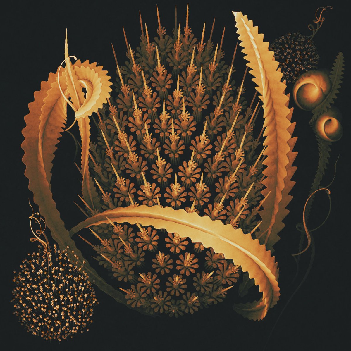 2D procedural illustration made entirely with math functions in #SubstanceDesigner #mathart