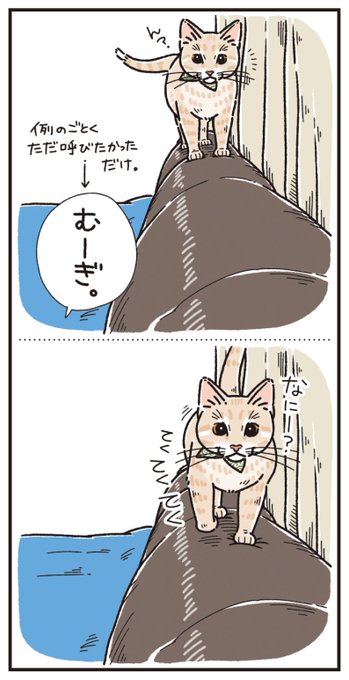 白いマントを着ているのはどのExuですか?