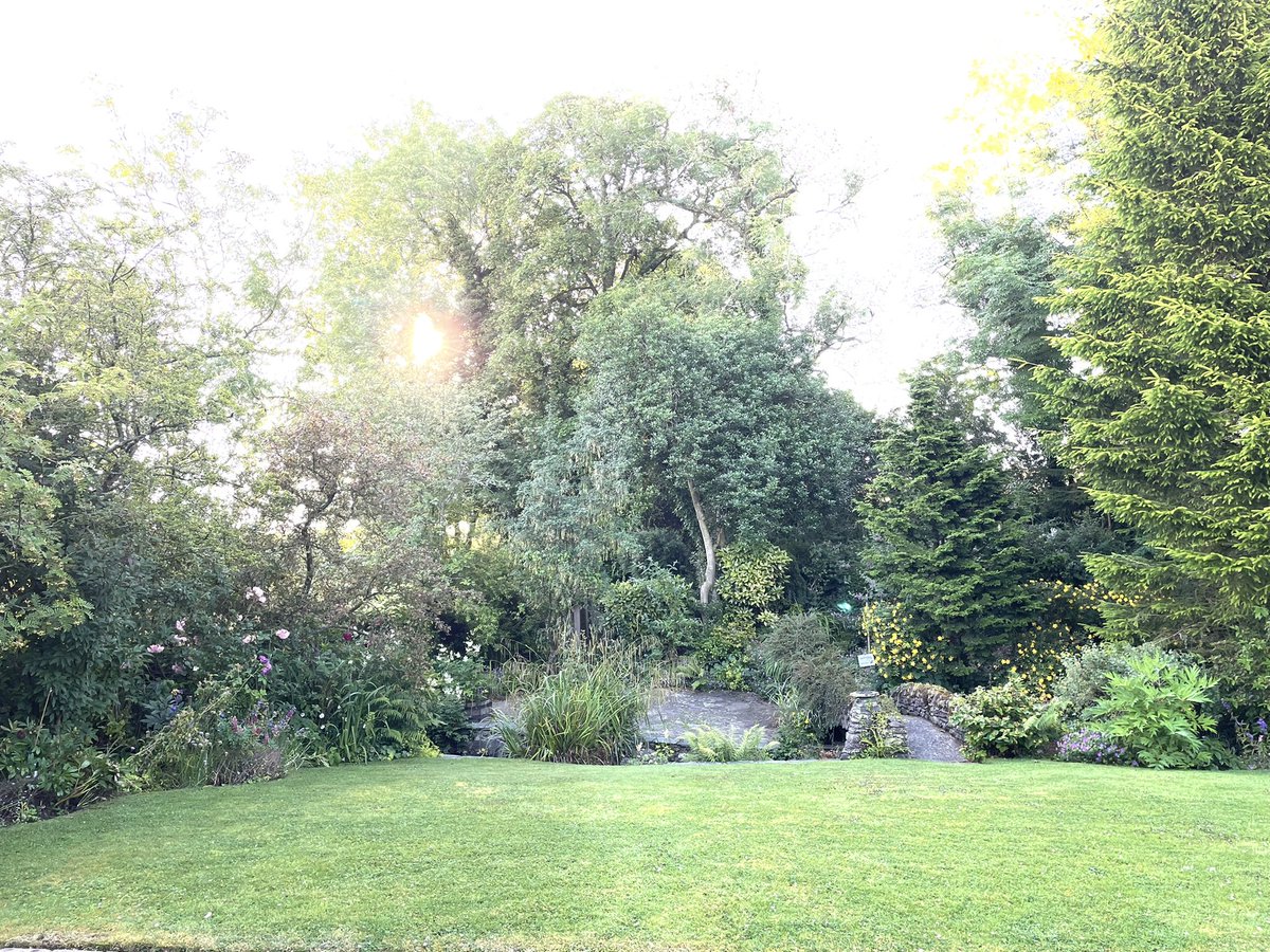 aaroncumminsNHS's tweet image. Coffee on the steps with the new neighbours 🐮… feeling a bit more like home after week 3 🏠