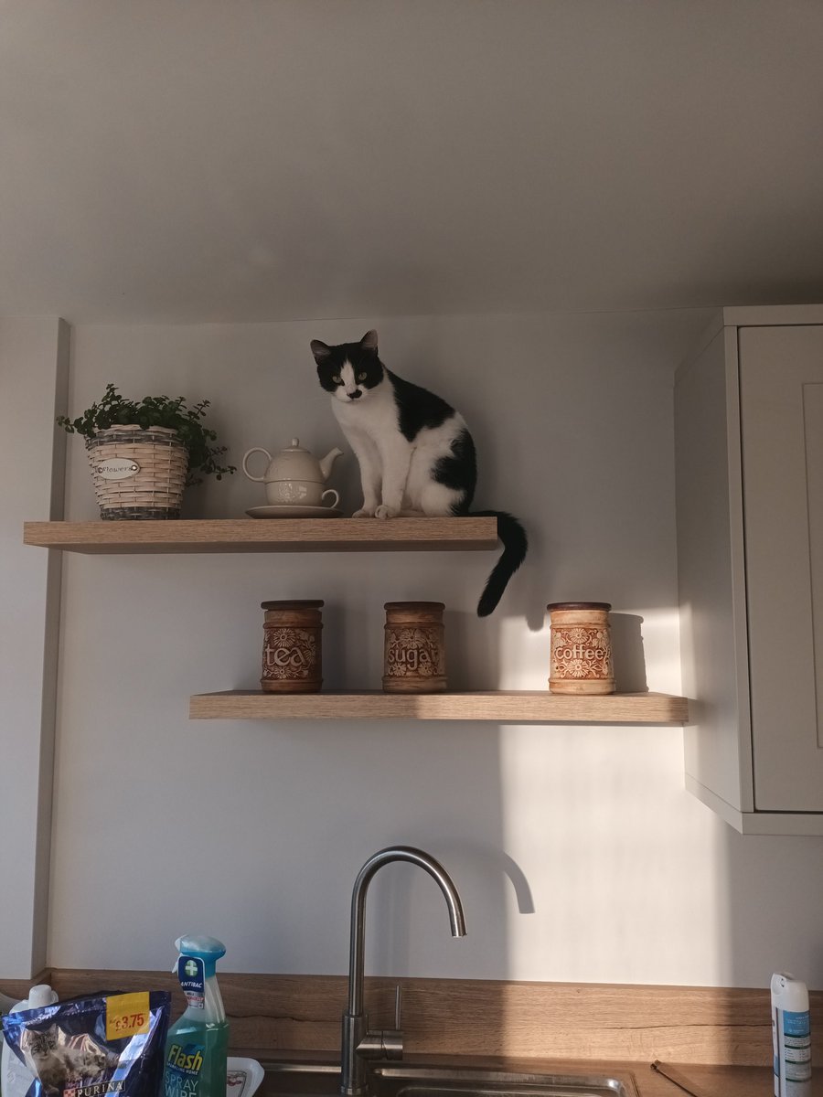 Kim Brooks tweet media