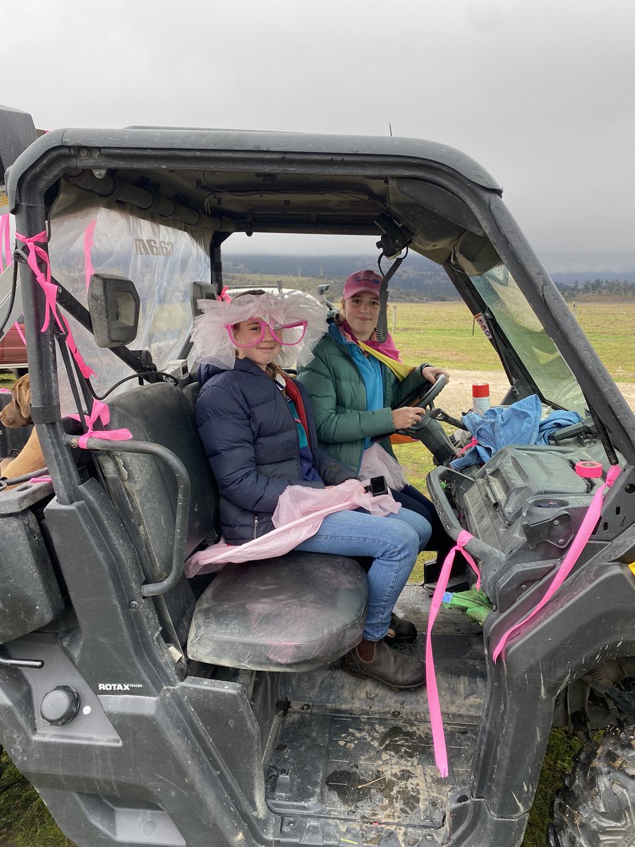 Robbie Tole tweet media