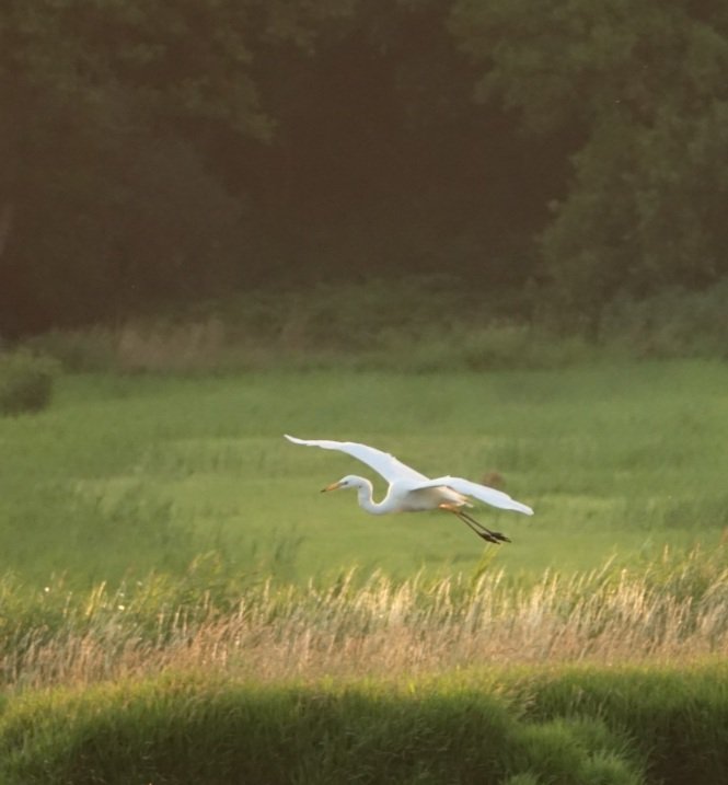 Vanochtend vroeg het weekend in gevlogen