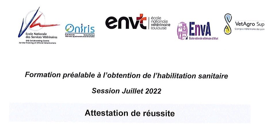 Calrhae's tweet image. En attente du 19 novembre, mais tout de même fière d'en être arrivée là 😊