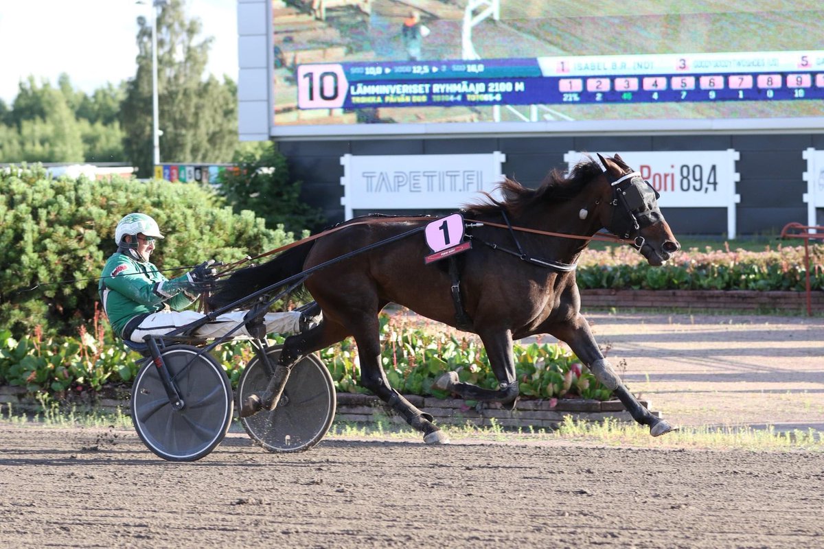 Hienot pari viikkoa ravirintamalla.
Isabel B.R. vuorostaan ”harjas” avoimella tammatasolla tuoden pokaalit Porista himaan! 
Angeliquen muistoajon voitto!! 🎯👊🏆🍾✨
#ravit