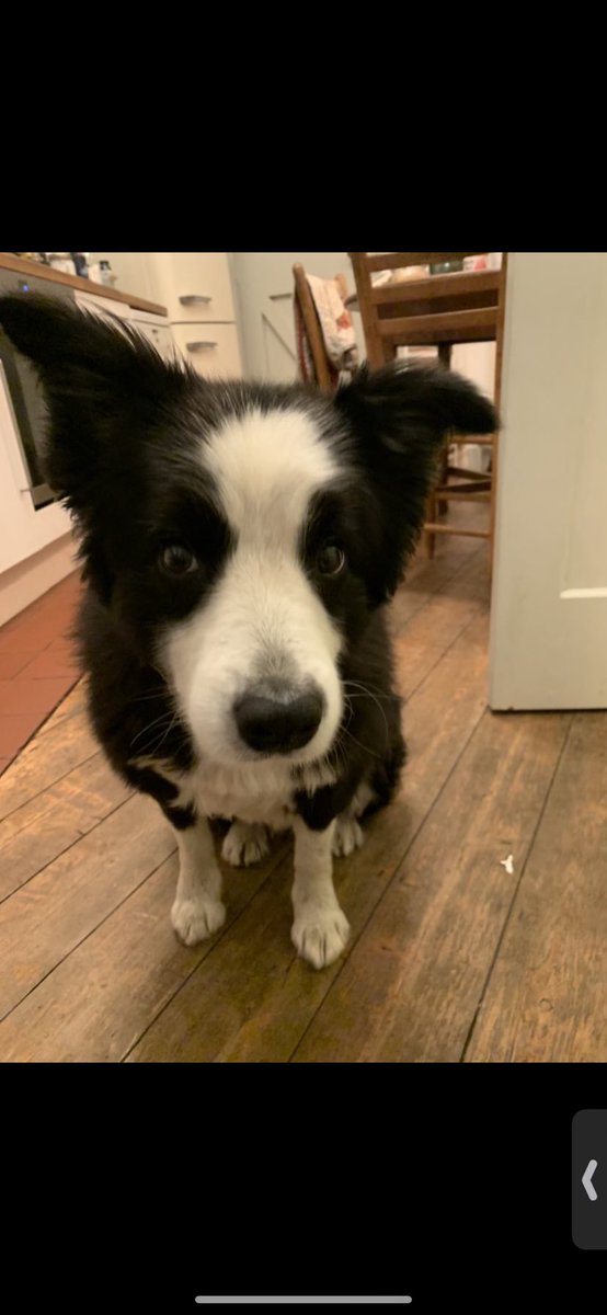 John Russell tweet media