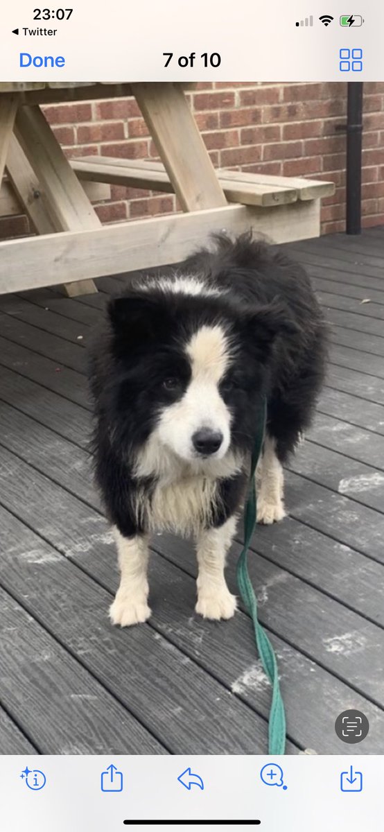 John Russell tweet media