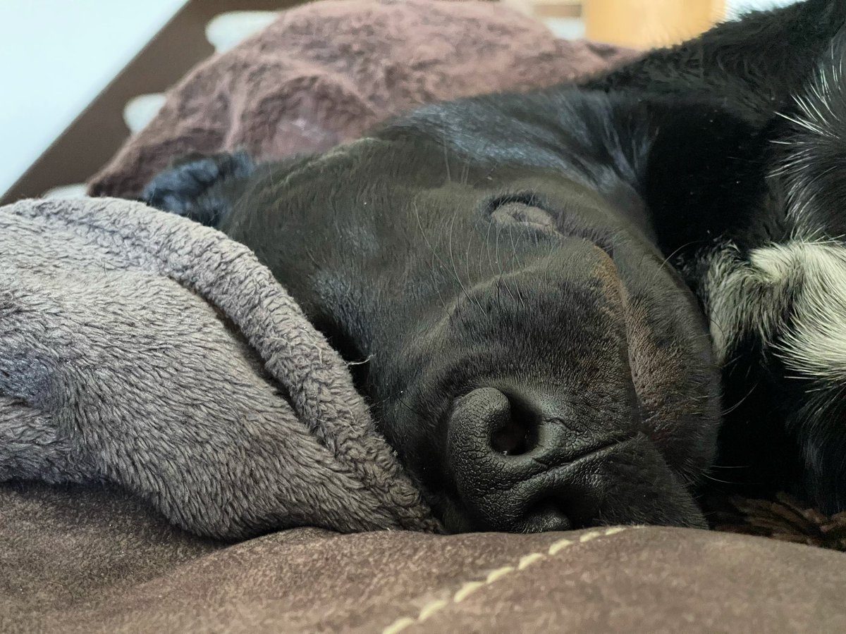 “I don’t wanna today…”