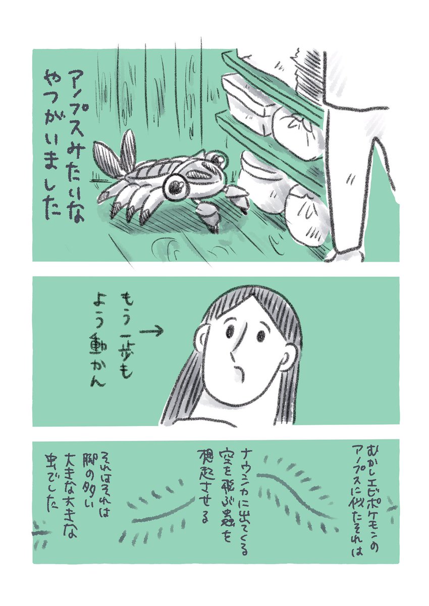 日々日記🧬(虫のお話をしています‼️) 