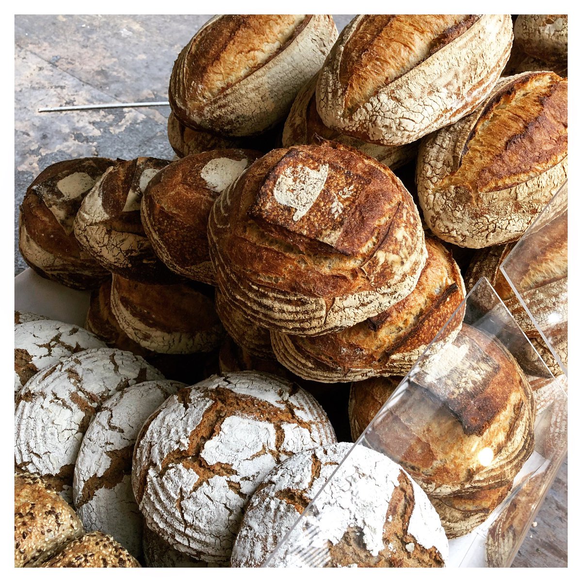 Pullins_Bakery's tweet photo. A beautiful day for the market @GPS_Bath - see you early birds shortly for your freshly baked sourdough.
#pullinsbakery #realbread #artisanbread #sourdough #bathfarmersmarket https://t.co/kpJvS3G1b0