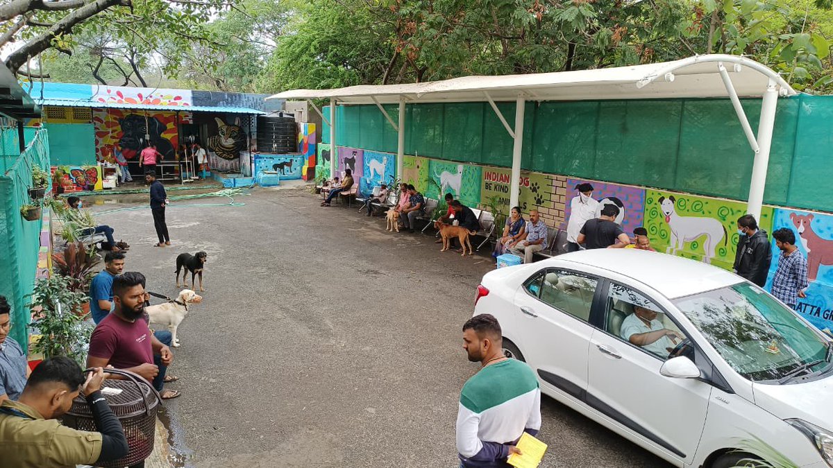 Neharunagar, #PCMC dog shelter is buzzing with canine and their caretakers … nice, satisfying picture
#Canine #DOGLOVERS <a href="/pcmc_housing/">Pimpri Chinchwad Housing Soc Federation</a>