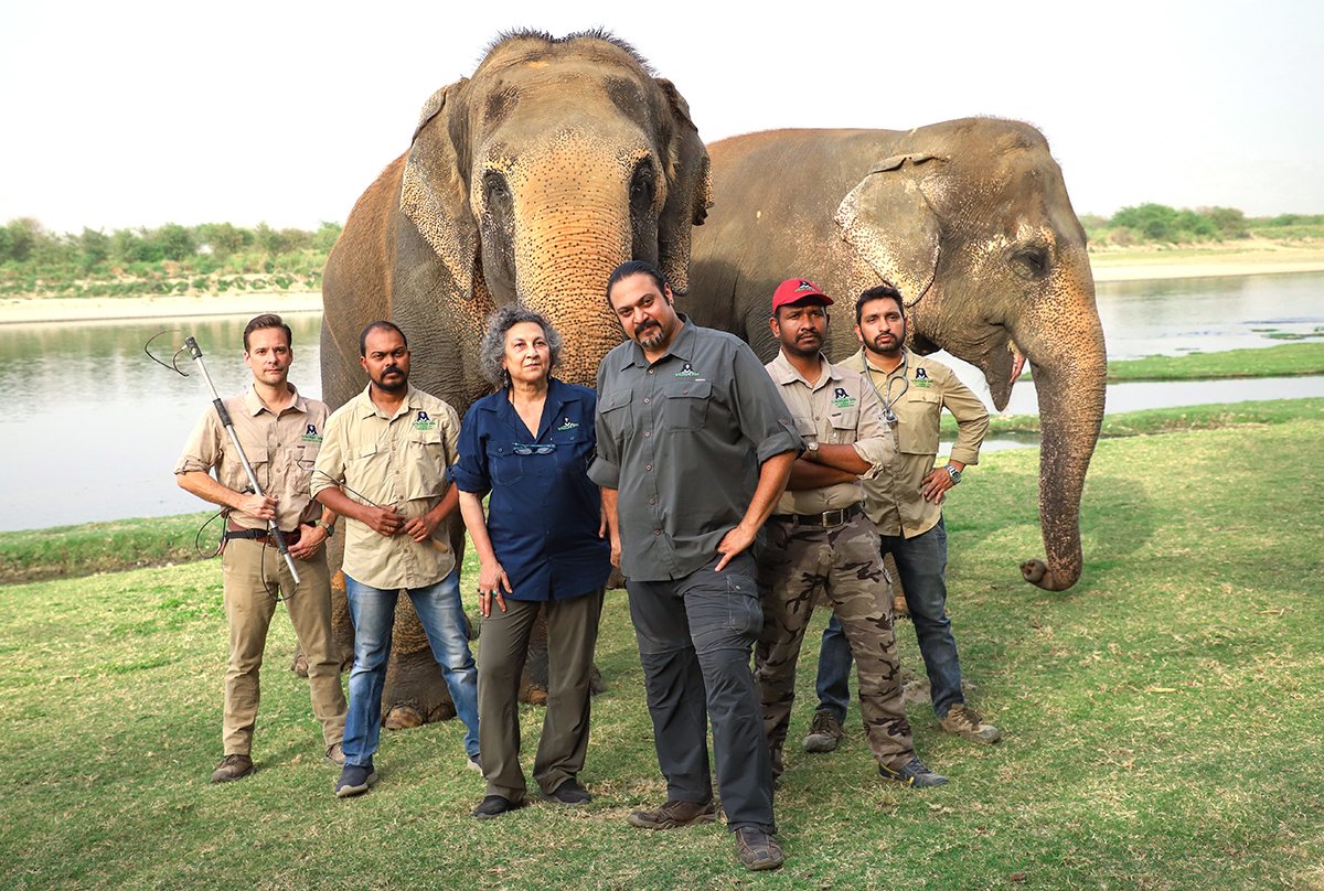 Kkathi9's tweet photo. #jungleheroes
🤗👌👌 awesome work by SOSWILDLIFE https://t.co/xp6qsqtzNq
