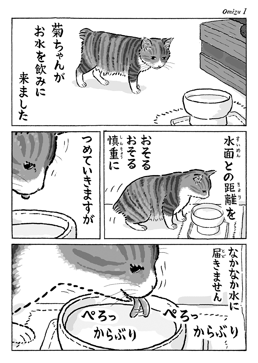 2ページ猫漫画「お水を飲む菊ちゃん」 