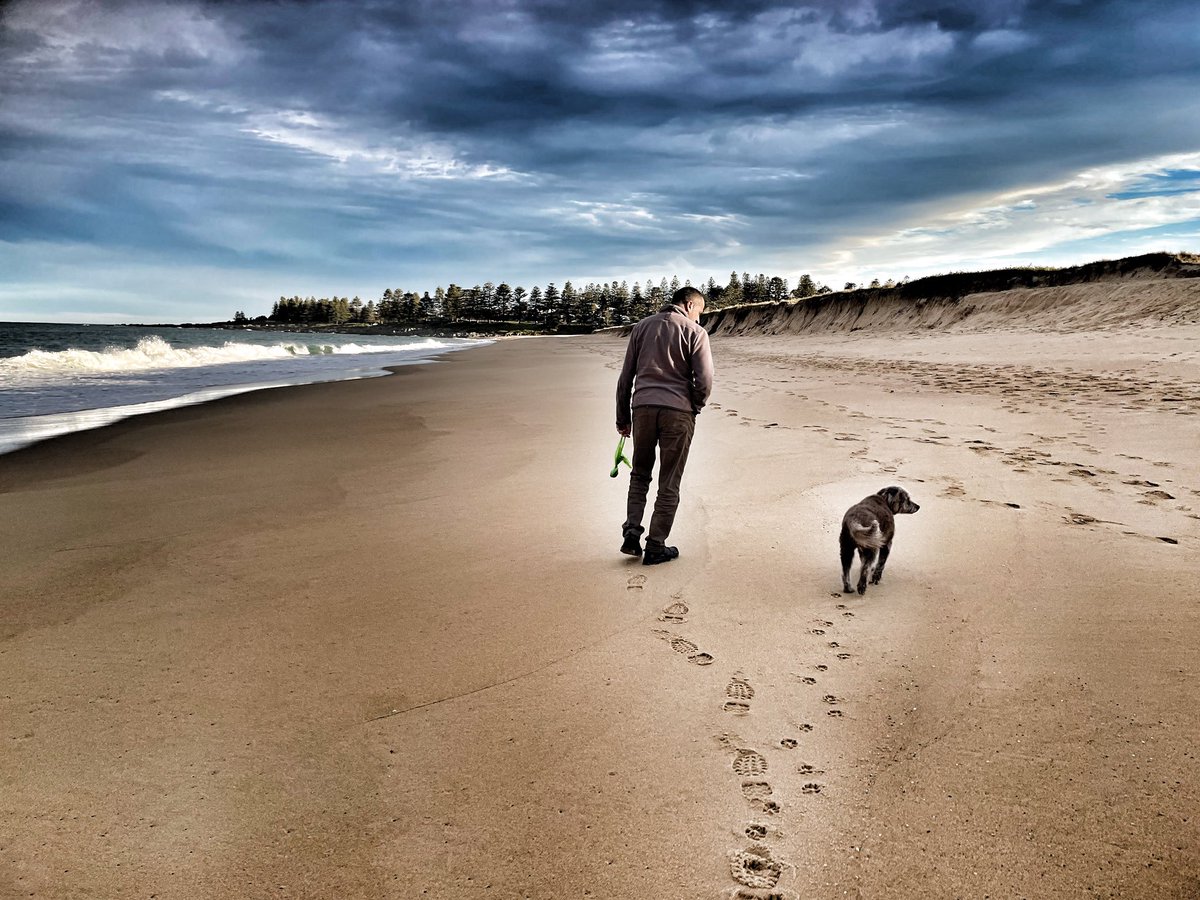 jsam_1967's tweet photo. Afternoon beach walk with @neo_the_fat_cat and #Mollythewonderdog #Tuross https://t.co/joRJxb0FVv
