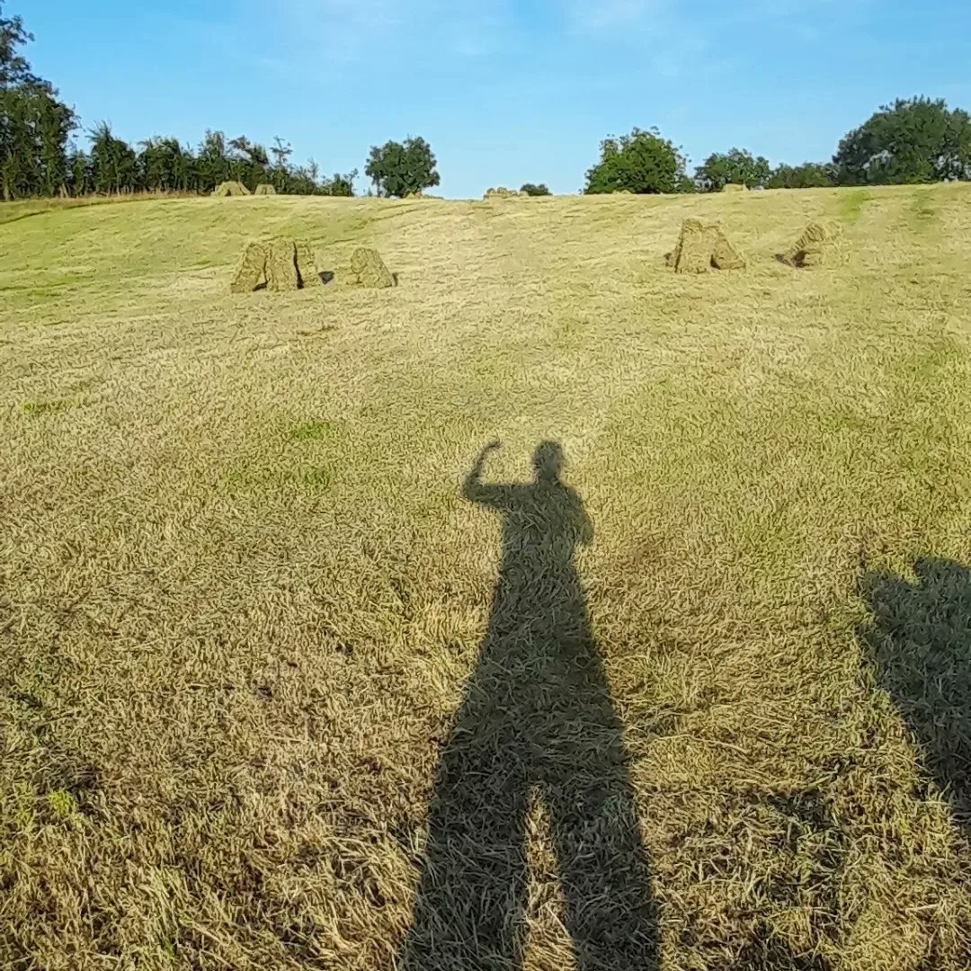 CountryClodagh's tweet photo. "Queen of the land".....Well...of my wee patch anyhoo🤠
This is my first year doing hay and I'm delighted we got that it saved as the weather was a bit sketchy at times.
#womeninag #queenoftheland #farmqueen #hayseason2022 #farmherlife https://t.co/igO2lFjJZR