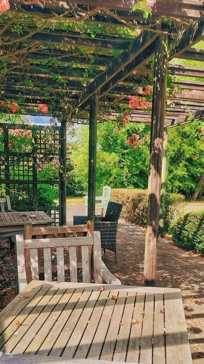 halfsug's tweet photo. summer garden https://t.co/WUDfSmxbh2