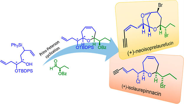 JOC_OL's tweet photo. The shortest enantioselective total synthesis of two marine natural products, (+)-Isolurepinnacin and (+)-Neoisoprelaurefucin. Check these syntheses using a Prins cyclization catalyzed by iron(III) salts as the key reaction, in #OL from Padrón &amp; colleagues https://t.co/spgsnKf0EX https://t.co/kGZTBXBRFI