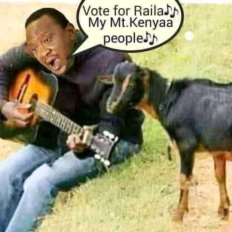 Papadii's tweet photo. @mwaurakabetu @WehliyeMohamed https://t.co/625dEXT2KG