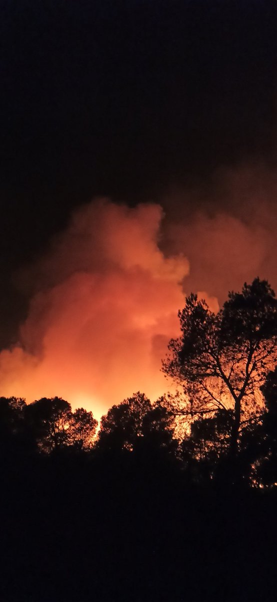 LABlarrialdiak's tweet photo. Día de máximo peligro.🚨🚨

El parque central de Cordovilla bajo mínimos.

Un solo cabo para dos brigadas helitransportadoras en la base de Miluce.

Los bomberos nos estamos cansando. https://t.co/qvkeYh9HaY
