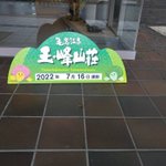 ツイートに含まれる画像