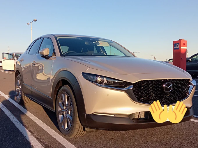 #絵描きさんの乗ってる車が見たい 
クォーツメタリックのCX-30は珍しいかも? 