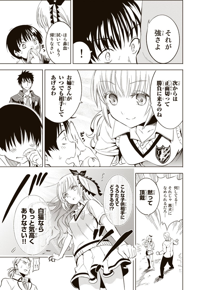 敵対する国の生徒達が通う学園でリーダー同士が秘密に付き合う話5 