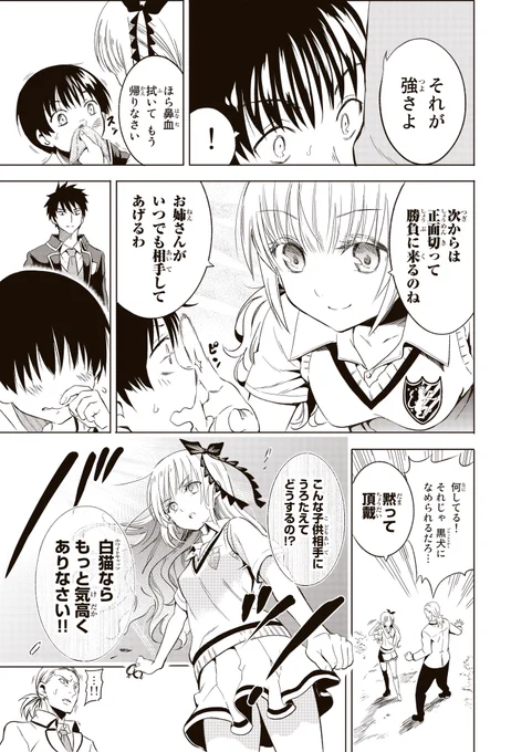 敵対する国の生徒達が通う学園でリーダー同士が秘密に付き合う話5 