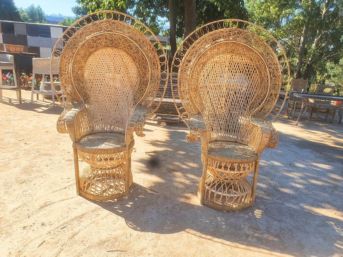 Decor Chairs/ Event Chairs / Wedding, Function Chairs. Peacock Chairs. 
Call us today for orders - 0827590413 / info@patioguru.co.za https://t.co/Da07j270g4