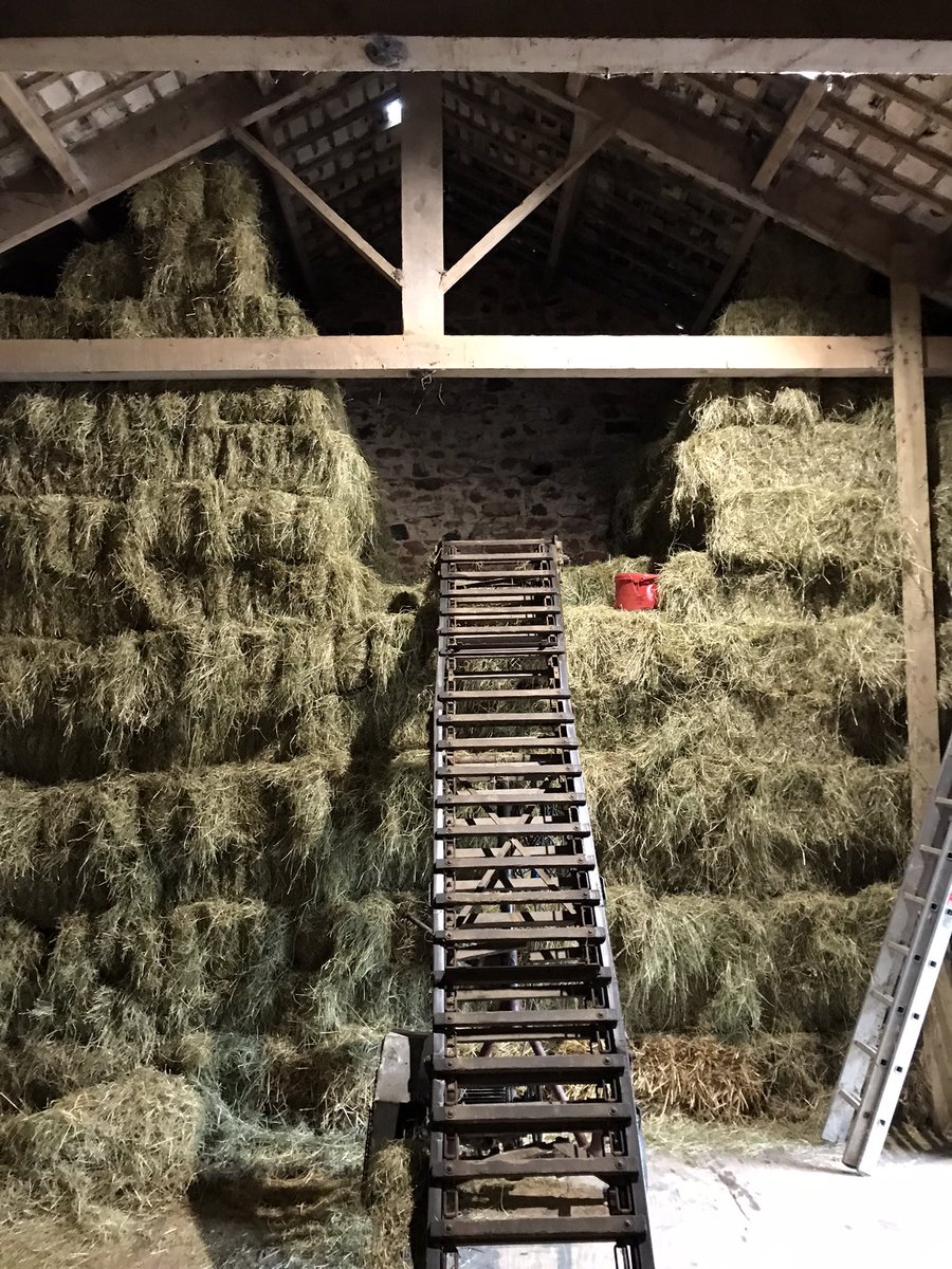 Hay all put away