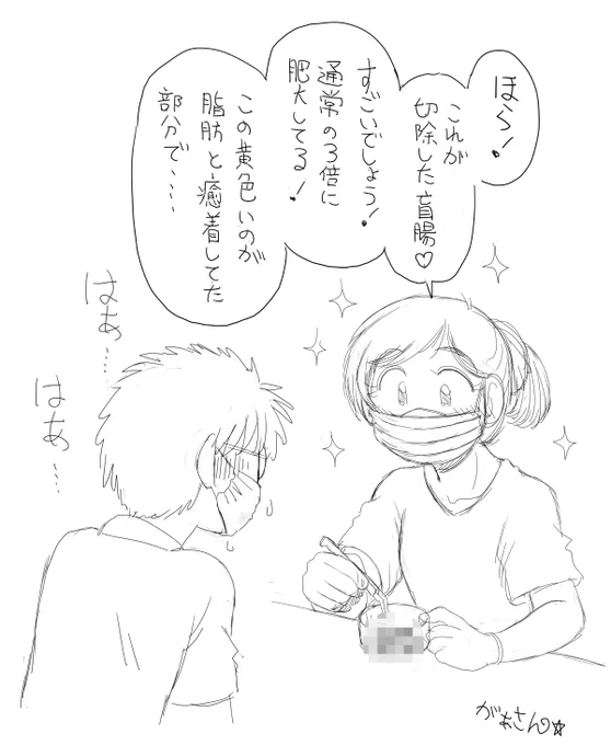 7月10日日曜日に救急搬送された母ですが、虫垂炎の悪化で翌日緊急手術、4時間の手術の末無事患部摘出に成功しました。現在は回復に向けて入院中です。
手術を執刀してくださったのは若い女性の先生で、術後とても丁寧に説明してくださいました。 