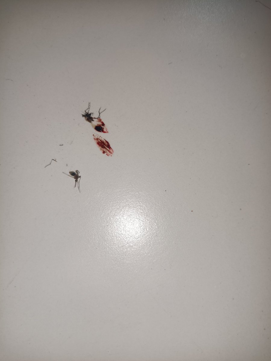 igramghat's tweet photo. #Dengue at parivartan bldg 2 #transitcamp GB #MARG #VALNAI COLONY NR MURGAN #MEDICAL #MALAD #WEST #MUMBAI 64
@mybmcWardPN @IqbalSinghChah2 @AAPkiADITI_47 @iGopalShetty @AslamShaikh_MLA @mieknathshinde @JayaSSTiwana @PrashantSejal @mybmc @MCGM_BMC @MNCDFbombay @mid_waytimes https://t.co/odb4tBHy5D