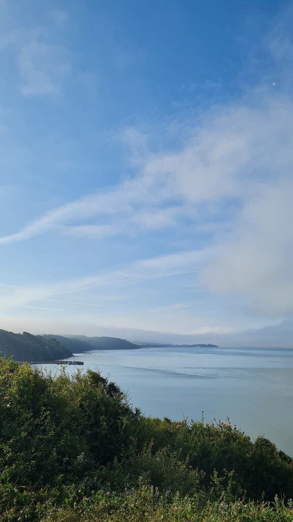 Rua Digital tweet media