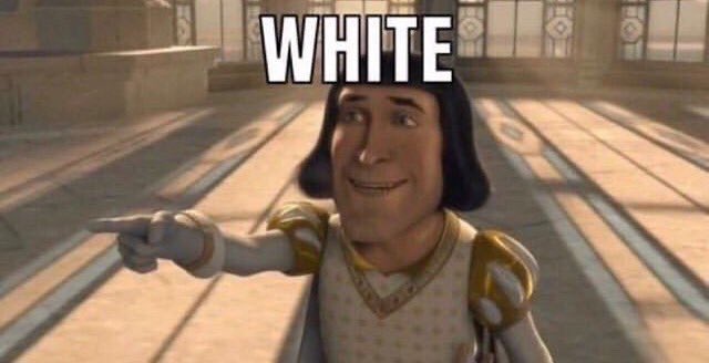 bee 🏳️🌈🏴☠️ on break tweet media