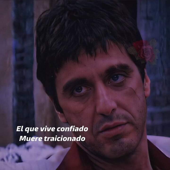 Escucha Este Tema 🤭 youtu.be/LaqMA8Pp-lY

#el #que #vive #confiado