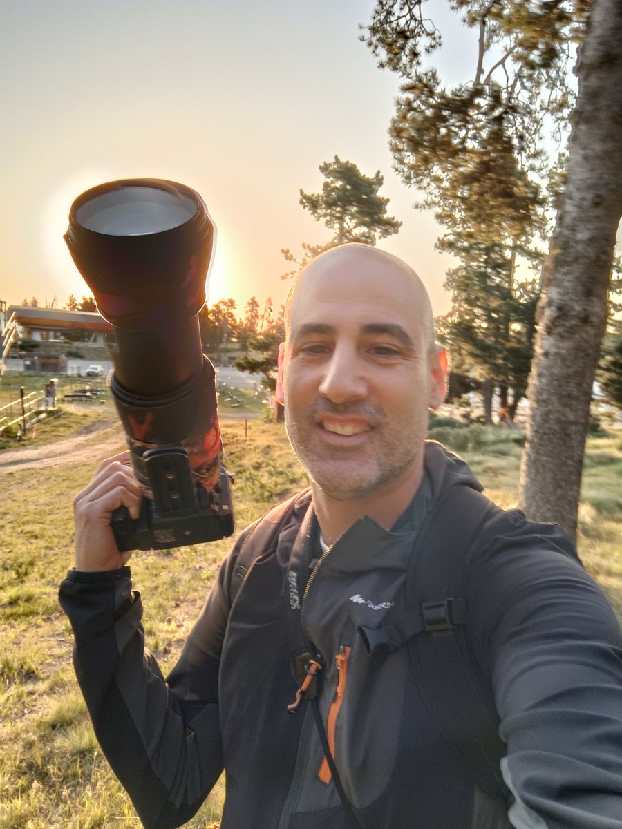 holaivanvega's tweet photo. Hoy toca madrugar y a buscar el pito negro por los bosques del Pirineo.
#naturaleza #ornitologia #biodiversidad #pirineos #pirineus #pitonegro https://t.co/4yznb3j4HW