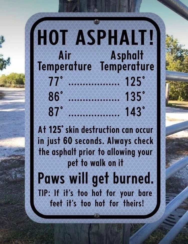 perfectrose2011's tweet photo. Another important reminder for those walking dogs on cement or asphalt - dogs cool themselves through panting or the pads on their paws. If walking on hot surfaces they can end up with heat stroke &amp; burned paws. Pet owner should only walk their dogs on grass and not sand either. https://t.co/4TEGwrRVen