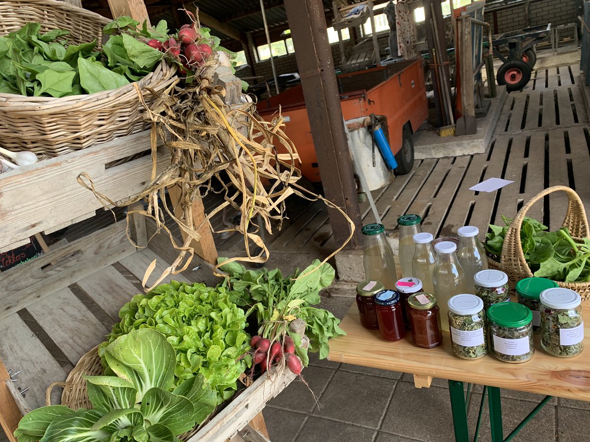 dorinevdbeukel's tweet photo. De groentewinkel van de #dorpstuin #Heeg op Lytshuzen is weer open! Heerlijke verse groente te koop met gratis geweldige wolkenlucht https://t.co/8Hi3VDpkJZ